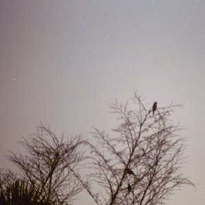 /Albums/19/Pr039210522102