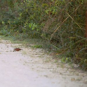 /Albums/19/Pr039210522104