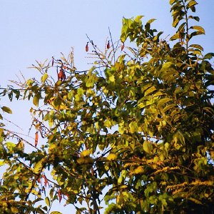 /Albums/19/Pr039210522105