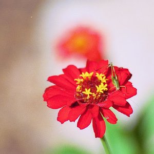 /Albums/19/Pr039210522110