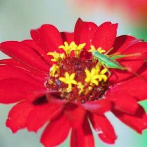 /Albums/19/Pr039210522111