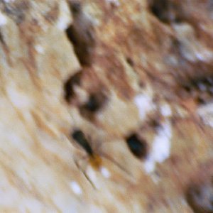 /Albums/19/Pr039210522113