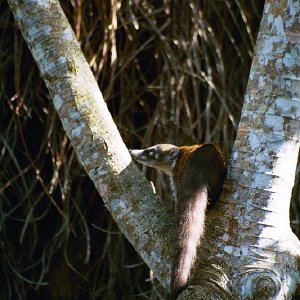 /Albums/19/Pr039210522114