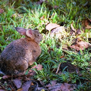 /Albums/19/Pr039210522116