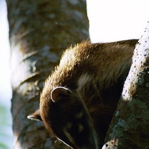 /Albums/19/Pr039210522117