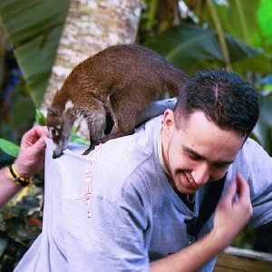 /Albums/19/Pr039210522121