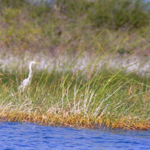 /Albums/19/Pr039210522127