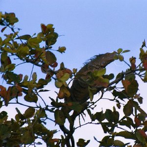 /Albums/19/Pr039210522128