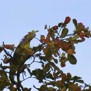 /Albums/19/Pr039210522129