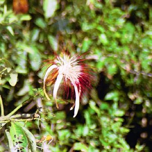 /Albums/19/Pr039210522132