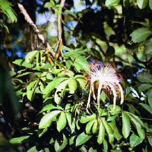 /Albums/19/Pr039210522134