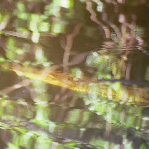 /Albums/19/Pr039210522136