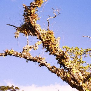 /Albums/19/Pr039210522137