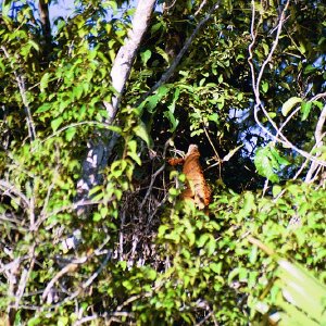 /Albums/19/Pr039210522138