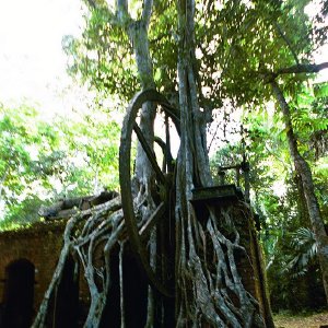 /Albums/19/Pr03921052274