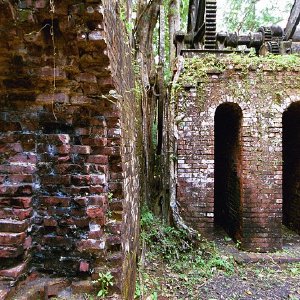 /Albums/19/Pr03921052278