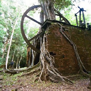 /Albums/19/Pr03921052279