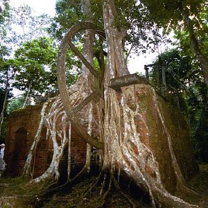 /Albums/19/Pr03921052280