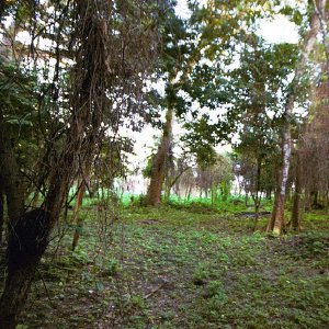 /Albums/19/Pr03921052285