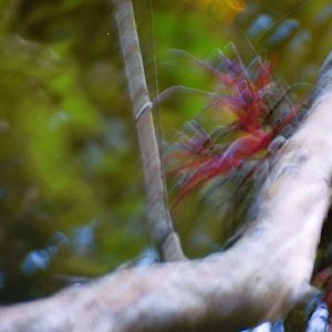 /Albums/19/Pr03921052286