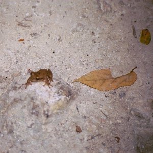 /Albums/19/Pr03921052288