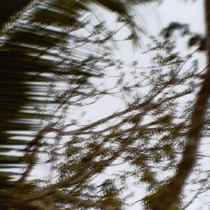 /Albums/19/Pr03921052293