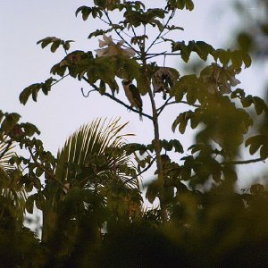 /Albums/19/Pr03921052298