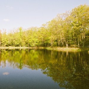 /Albums/2/107842 R1 02 28a