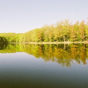 /Albums/2/107842 R1 04 26a