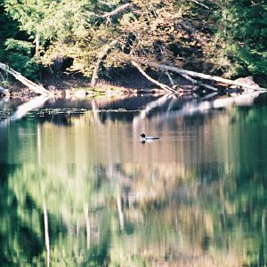 /Albums/2/107842 R1 05 25a