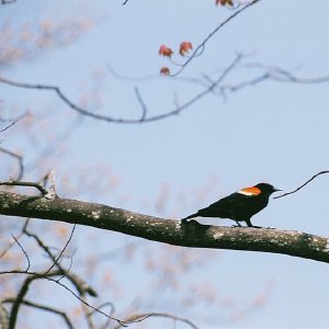 /Albums/2/107842 R1 14 16a