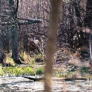 /Albums/2/107842 R1 15 15a