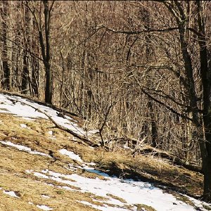 /Albums/7/43580 R1 03 21a 004