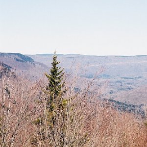 /Albums/7/43580 R1 04 20a 005