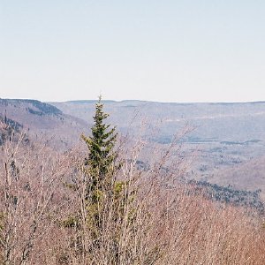 /Albums/7/43580 R1 06 18a 007