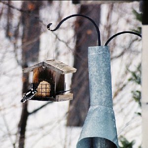 /Albums/7/43580 R1 17 7a 018