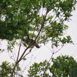 /Albums/8/107600 R1 20 21