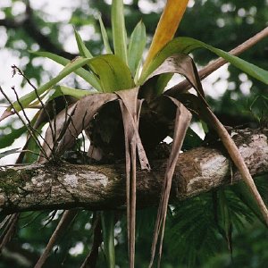 /Albums/8/107600 R1 23 24