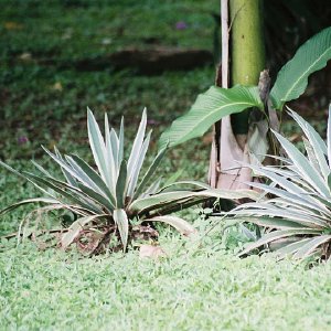 /Albums/8/107600 R1 24 25