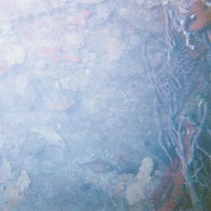 /Albums/8/993099 R1 02 17