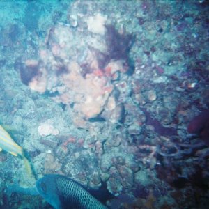 /Albums/8/993099 R1 04 15