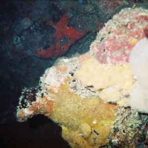 /Albums/8/993099 R1 05 14