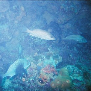 /Albums/8/993099 R1 10 9