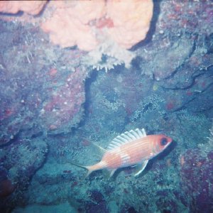 /Albums/8/993099 R1 11 8