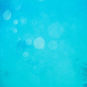 /Albums/8/993099 R1 18 0