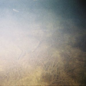 /Albums/8/993433 R1 03 4a