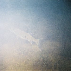 /Albums/8/993433 R1 05 6a