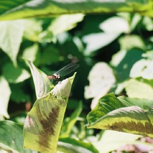 /Albums/8/993433 R2 05 5a