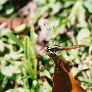 /Albums/8/993433 R2 06 6a