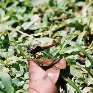 /Albums/8/993433 R2 07 7a